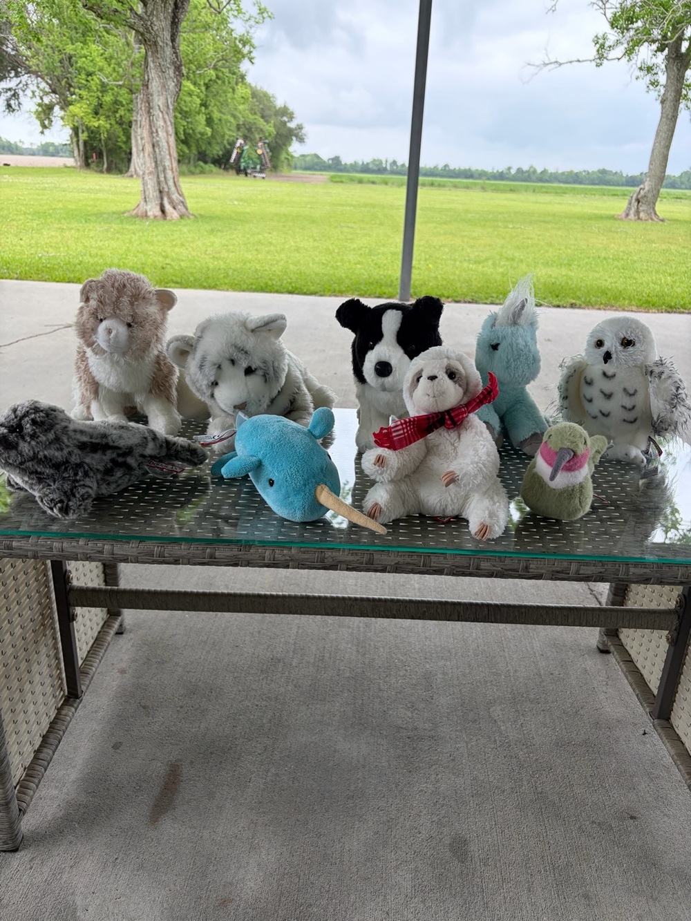 Bundle of Eight Douglas Plush EUC